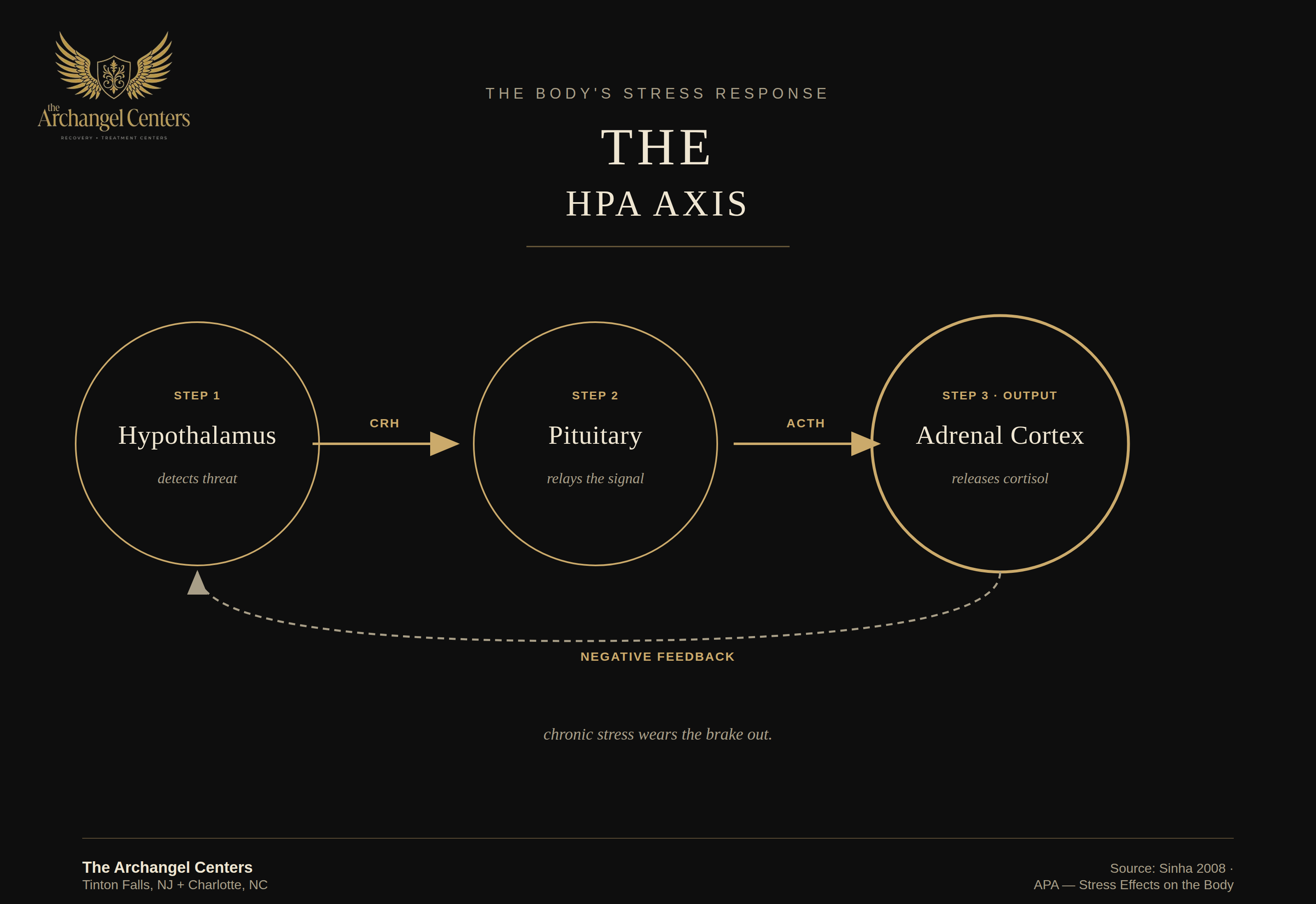 mental health / stress and addiction / hpa axis flow