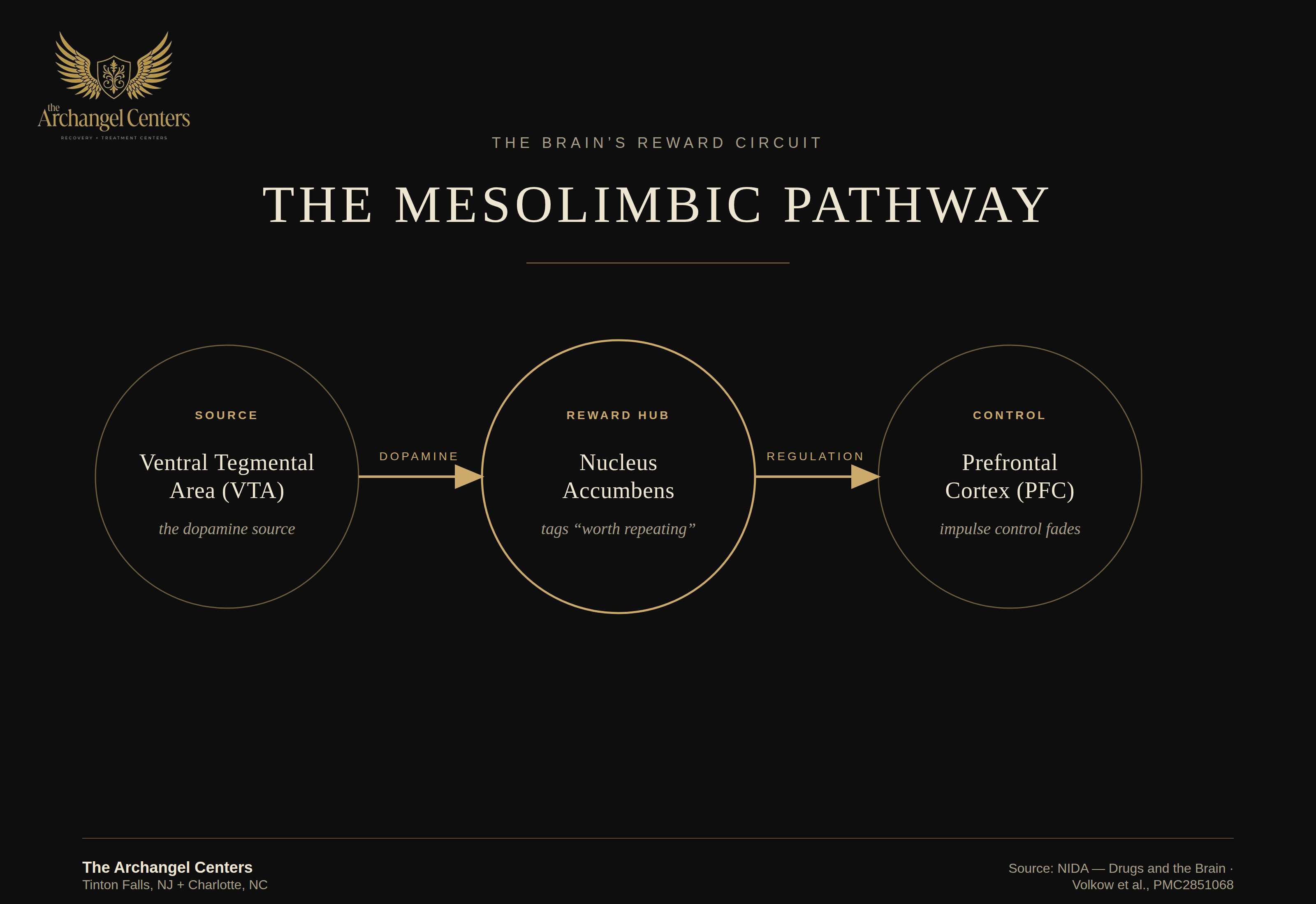science of addiction / brain and reward / mesolimbic reward circuit