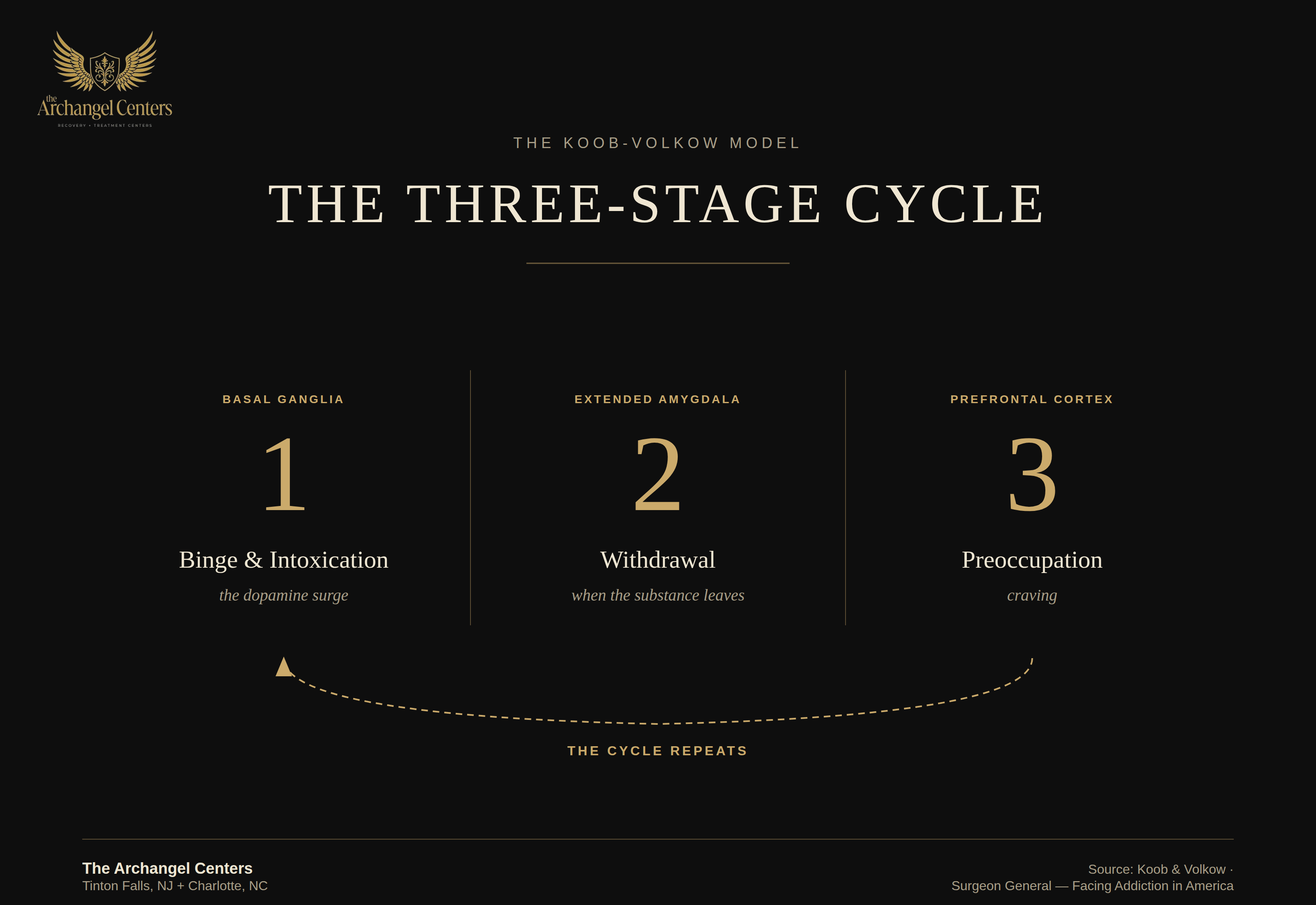 science of addiction / brain and reward / three stage addiction cycle