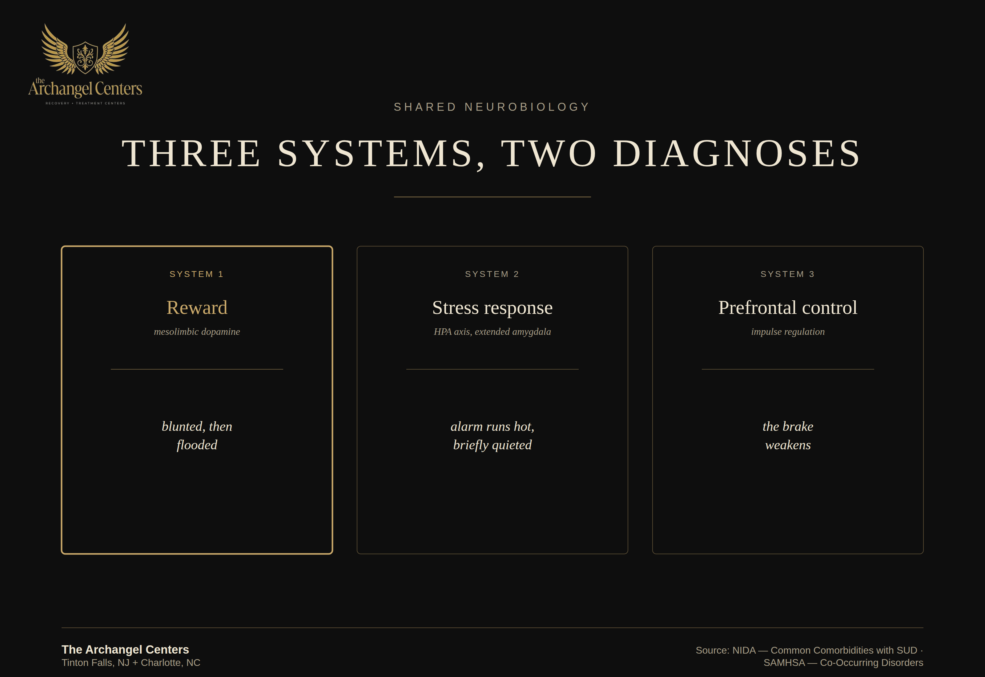 science of addiction / co occurring disorders / shared brain systems