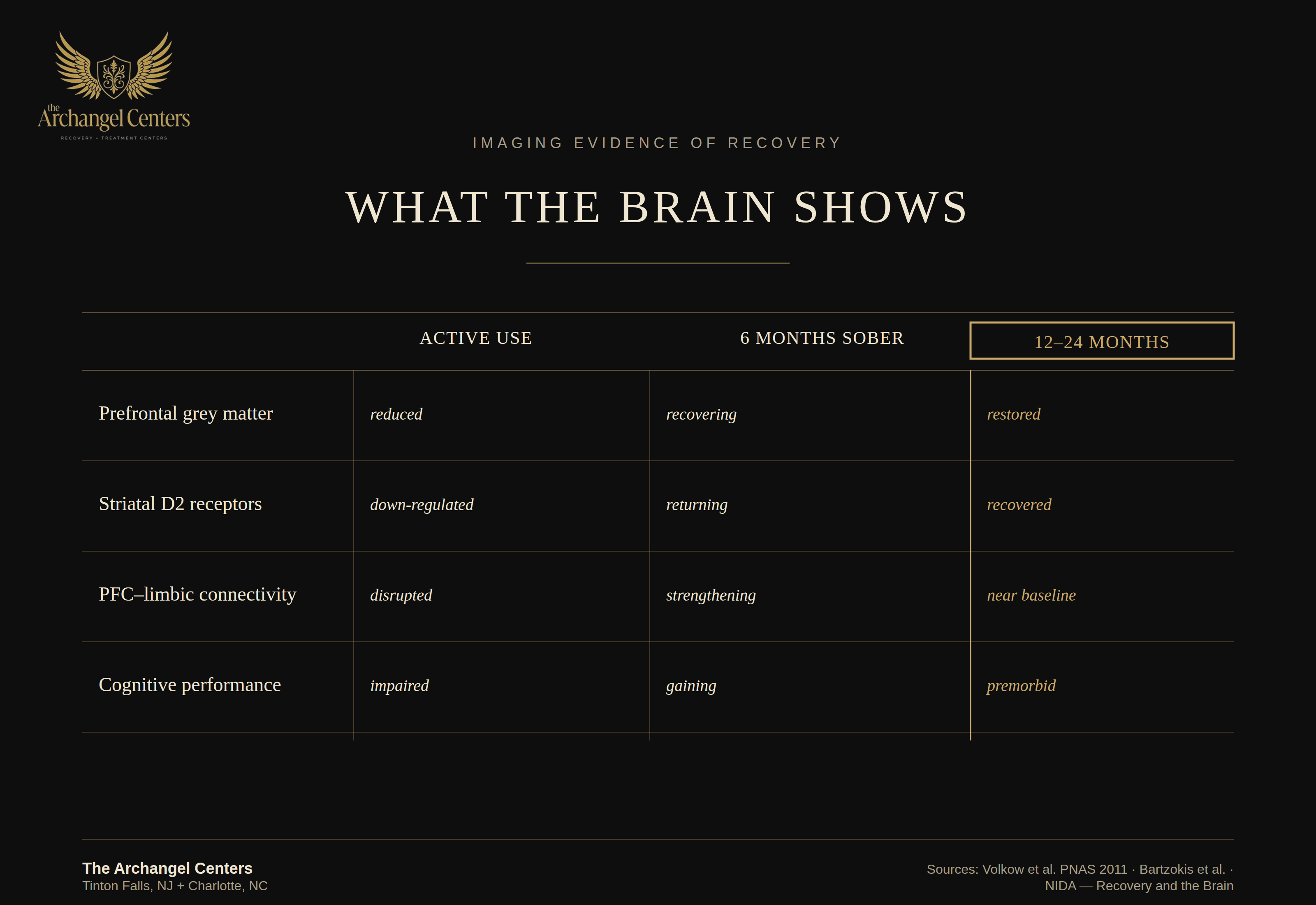 science of addiction / neuroplasticity recovery / brain imaging recovery