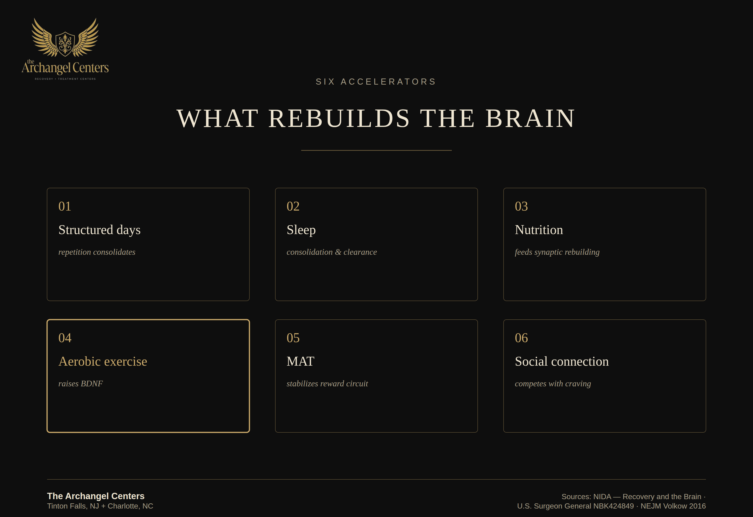 science of addiction / neuroplasticity recovery / what accelerates healing